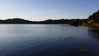 Morning at Lake Rotoma